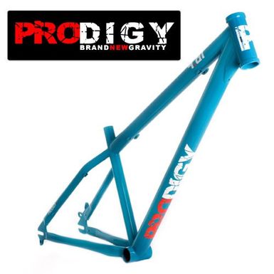 prodigy_981_frameGRAND.jpg